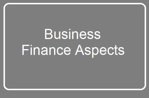 Business Finance Aspects
